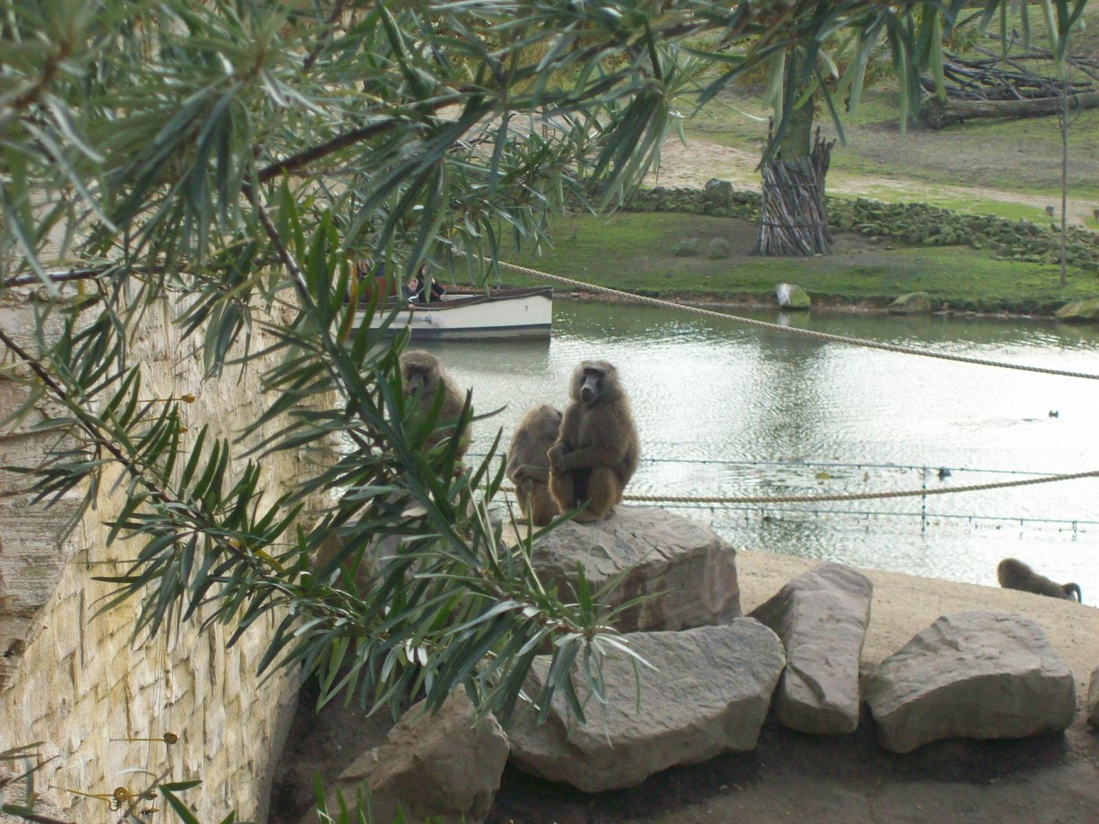 Zoom 18.10.2008-164.jpg